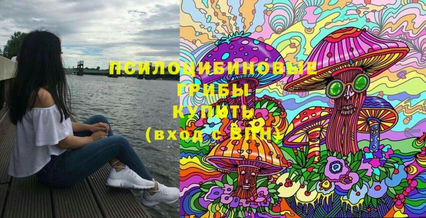 прущие грибы Армянск