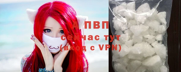 прущие грибы Армянск