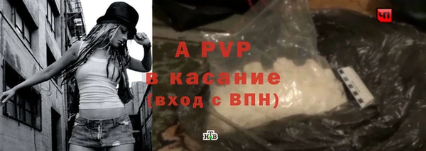 прущие грибы Армянск