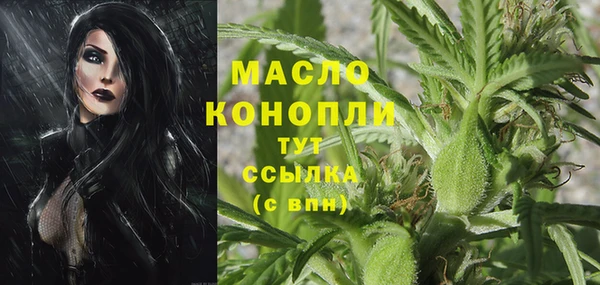 прущие грибы Армянск