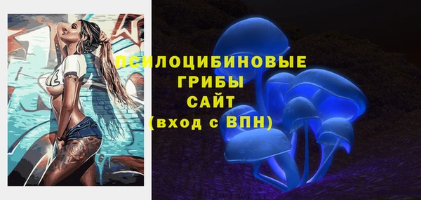 прущие грибы Армянск