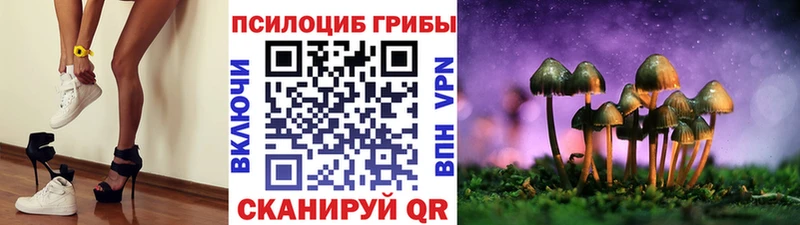 МЕГА маркетплейс Урюпинск Галлюциногенные грибы Psilocybe